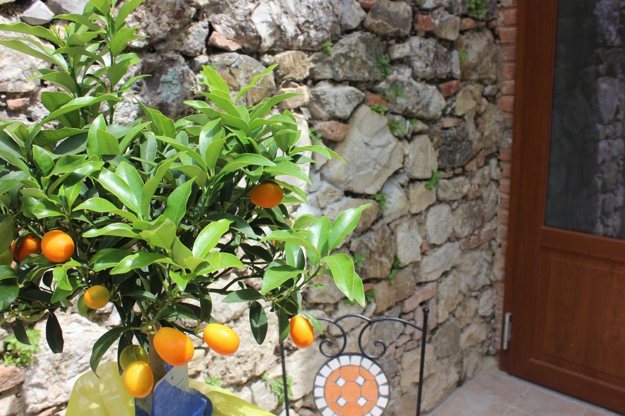B&B Canneto Monteverdi Marittimo Exterior photo