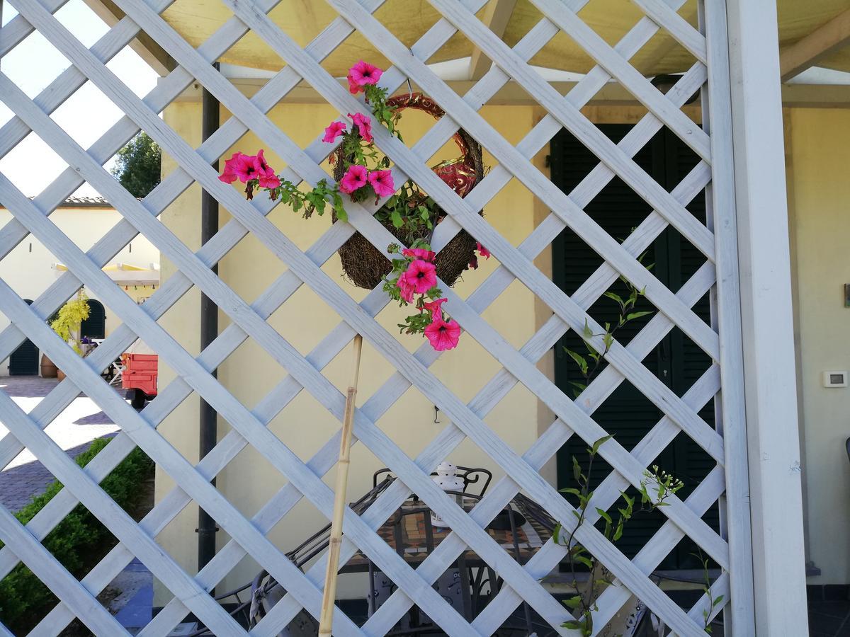 B&B Canneto Monteverdi Marittimo Exterior photo